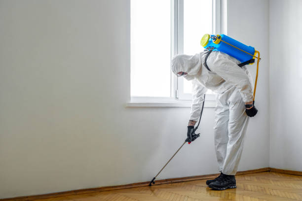 Reliable Goodlettsville, TN Pest Control Solutions